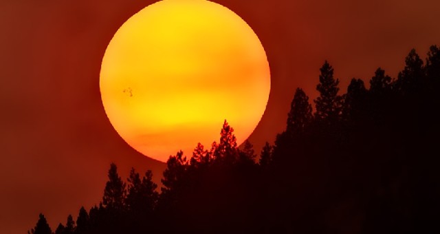 John-Ashley-Sunspot-AR-2403_1440126919_lg